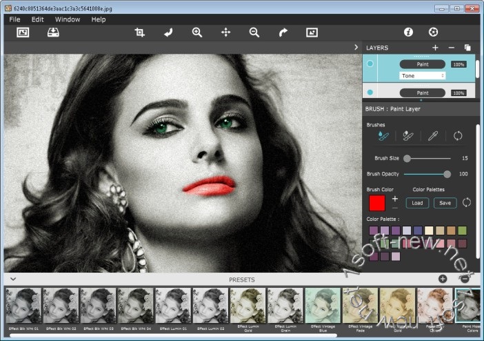 JixiPix Hand Tint Pro 1.0.23 download the new version for ios