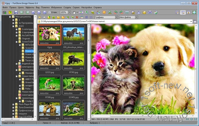 FastStone Image Viewer 6.4 Portable Rus
