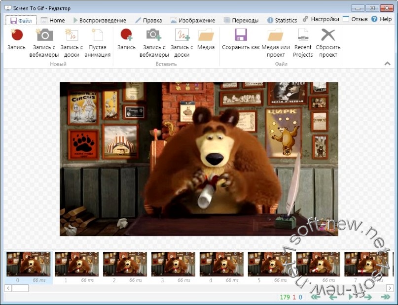 ScreenToGif 2.8 Portable  Rus